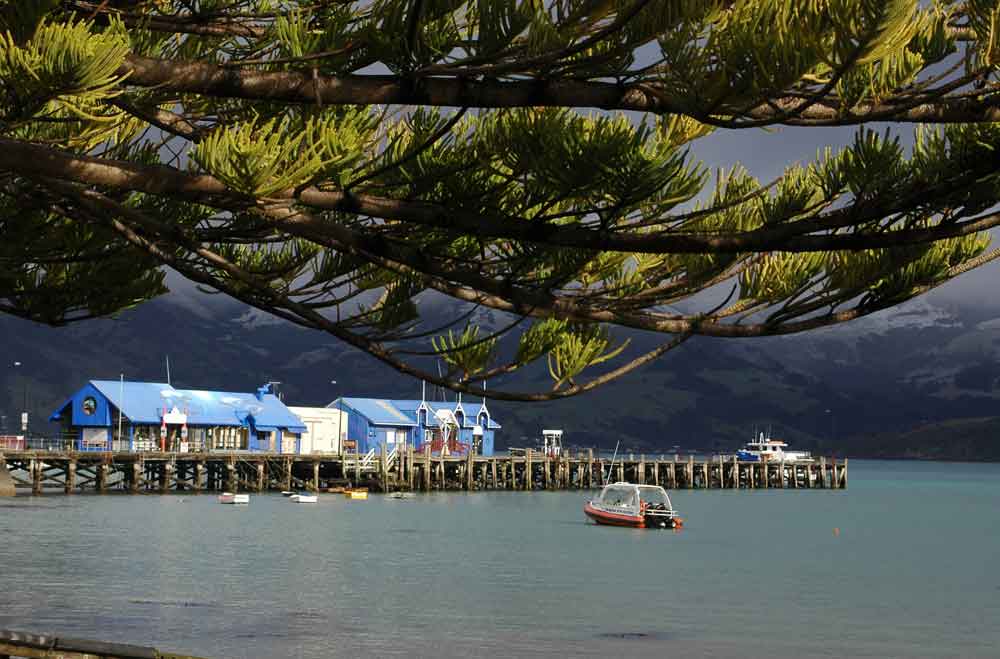 213 - Nueva Zelanda - Akaroa, embarcadero